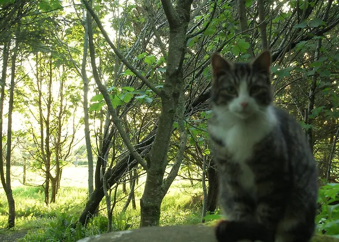 לינה וארוחת בוקר Ardtarmon House 3*